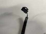 Kennzeichenleuchte Renault Megane, I 1999.03 - 2002.10 facelift 7700282921, 7700842700