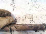 Stabilisator Vorne Citroen C4 Grand Picasso, I 2006.01 - 2013.06 Gebraucht,