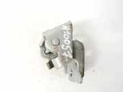 T?rscharnier Hinten Citroen C5, II 2008.02 - 2011.01 Gebraucht,