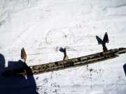 Stoßstangenträger hinten Renault Master, II 2003.01 - 2010.01 facelift 7700352118,