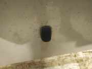 Waschwasserd?se Scheibenreinigung Kia Sportage, 2004.09 - 2010.01 Gebraucht,