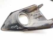 K?hlergrill - Vorne Linke Ford C-MAX, 2011.01 - 2019 AM51R19953C,AM51-R19953-C AM51R19953C