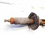 Stoßdämpfer - Vorne Linke Mazda 626, 1997.04 - 2002.10 Gebraucht,