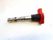 Zündspule Audi A4, B6 2000.11 - 2004.11 06C905115L,06C905115L 12433ESM L1H21C