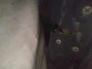 T?rschloss Stangen - Vorne Rechts Nissan Primera, P12 2002.01 - 2008.12 Gebraucht,