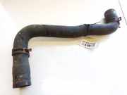 K?hlerschlauch Renault Scenic, II 2003.06 - 2006.06 8200320158,