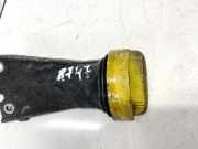 Ölmessstab Renault Scenic, III 2009.02 - 2013.06 Gebraucht ,