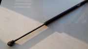 Gasdruckfeder Kofferraum Toyota Corolla Verso, III 2004.05 - 2007 689600F011,68960-0F011