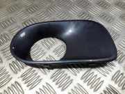 Kühlergrill - Vorne Rechts BMW X5, E53 facelift 2004 - 2006 51117111764,51.11-7111764 5111-7111764