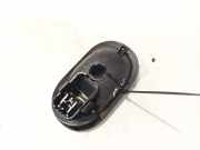 Türinnengriff - Vorne Linke Renault Scenic, II 2003.06 - 2006.06 8200028487,