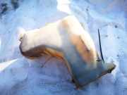 Ausgleichsbehälter Nissan Almera Tino 2000.08 - 2003.09 21710bm400,