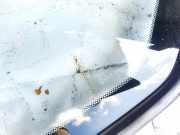 Seitenfenster Seitenscheibe - Toyota Avensis Verso, 2001.08 - 2009.11 Gebraucht,