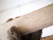 Halteband Kraftstoffbehälter Skoda Yeti 2009 - 2013 1k0201656c,