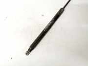 Gasdruckfeder Kofferraum Fiat Punto, 2005.10 - 2012.03 51778432, 28ap05