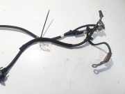 Kabelbaum Fiat Ulysse, II 2002.06 - 2014.12 1486450080,