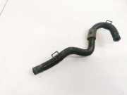 K?hlerschlauch Daihatsu Sirion, 1998.04 - 2005.01 Gebraucht,