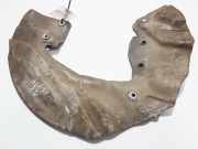 Spritzblech für Bremsscheibe - Vorne Rechts BMW 7-Series, E65 E66 E67 E68 2001.11 - 2008.06 Gebraucht,