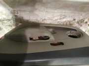 Türverkleidung - Vorne Rechts Renault Clio, 2005.05 - 2009.06 Gebraucht,