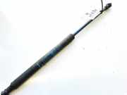Gasdruckfeder Kofferraum Alfa-Romeo GT, 2003.11 - 2010.09 60681587,7333rl0400n