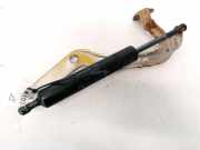 Lang Heckklappe Scharniere Scharnier Links Mercedes-Benz W210, 1995.06 - 1999.07 A0019808064,