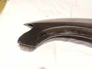 Kotflügel - Vorne Linke Chrysler Grand Voyager, IV 2000.02 - 2008.12 Juoda,