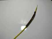 Stellelement Mischklappe Mazda 3, BL 2009.06 - 2013.06 Gebraucht ,