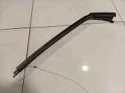 Zierleiste Leiste - Vorne Rechts Renault Scenic, II 2003.06 - 2006.06 8200167197,8200167197 MP5510