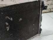 Wasserkühler Mercedes-Benz Sprinter, II 2006.05 - 2013.06 Gebraucht ,