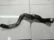 Intercooler Schlauch Audi A3, 8P 2003.05 - 2005.06 Gebraucht ,