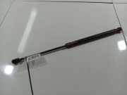 Gasdruckfeder Kofferraum Opel Signum, 2003.05 - 2008.06 13191401,13191401 6927TJ 0700N C80 6927TJ0700NC80