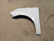 Kotflügel - Vorne Linke Renault Scenic, III 2009.02 - 2013.06 Gebraucht,
