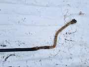 Stabilisator Vorne Renault Scenic, I 1996.01 - 1999.09 Gebraucht,