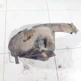 Radhausschale - Vorne Linke Chrysler Grand Voyager, IV 2000.02 - 2008.12 Gebraucht,