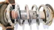 Fahrwerksfeder vorne Volkswagen Passat, B5 1996.08 - 2000.11 Gebraucht, ahl