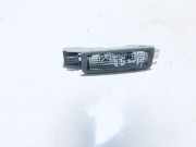 Innenraumleuchte Renault Laguna, II 2001.03 - 2006.05 8200003035,