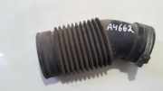Schlauch für Luftversorgung Citroen Xsara Picasso, I 1999.12 - 2004.05 9635043880,