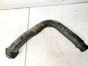 Schlauch für Luftversorgung Renault Scenic, I 1999.09 - 2003.06 facelift Gebraucht,