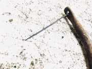 Stabilisator Vorne Peugeot 307, 2000.08 - 2005.06 Gebraucht,