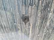 Waschwasserdüse Scheibenreinigung Volvo 850, 1993.08 -1997.10 Gebraucht,