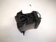 Lüftungsgitter Armaturenbrett Nissan X-Trail, 2001.06 - 2007.06 68760eq000, e650-5161-100