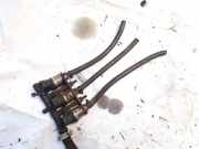 Einspritzleiste Gasanlage Chrysler 300C, I 2005.01 - 2010.06 0129352,eg2000
