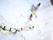 Kopfairbag - Vorne Rechts Mazda 5, CR 2005.02 - 2010.09 c23557kn0,