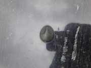 Waschwasserdüse Scheibenreinigung SAAB 9-5, 1997.09 - 2005.11 Gebraucht ,