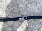 Dachreling Rechts Volkswagen Passat, B4 1993.07 - 1996.08 Gebraucht , AFT