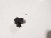 Türkontakt - Linke Audi 100, C3 1982.07 - 1991.01 Gebraucht,