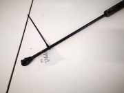 Gasdruckfeder Kofferraum Peugeot 806 1994 - 2002 Gebraucht,