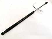 Gasfeder für Motorhaube Hyundai Getz, 2002.08 - 2009.06 8427RJ0370N,