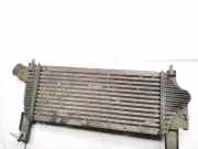 Ladeluftk?hler Nissan Navara, II D40 2005.07 - 2010.02 14461eb360,14461-eb360 f6864