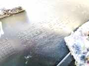 T?rverkleidung - Vorne Linke Nissan Leaf, I 2010 - 2017.12 809233nl0a,