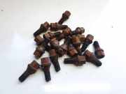 Radbolzen- Radmutter Opel Astra, H 2004.03 - 2009.12 Gebraucht,